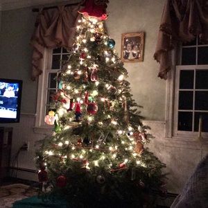 Meet your Posher, Kelly